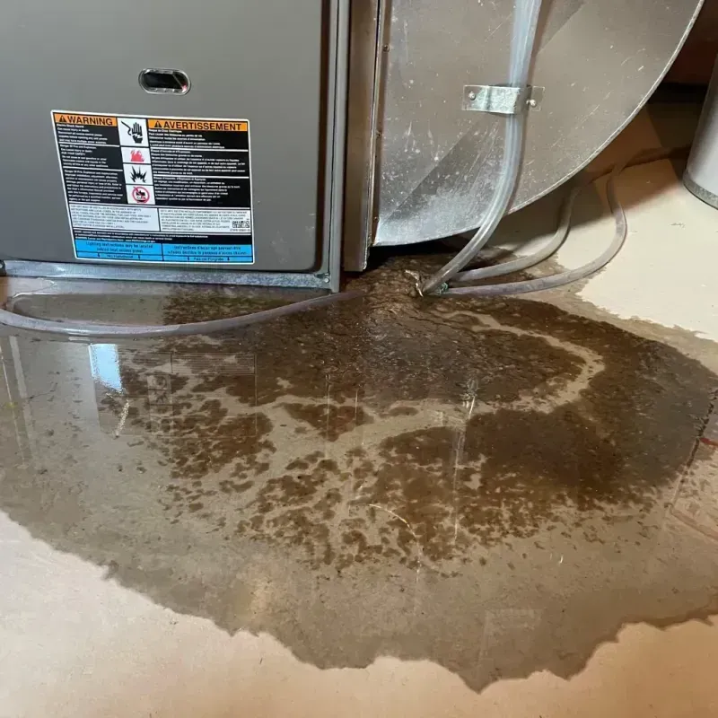 Appliance Leak Cleanup in Citronelle, AL